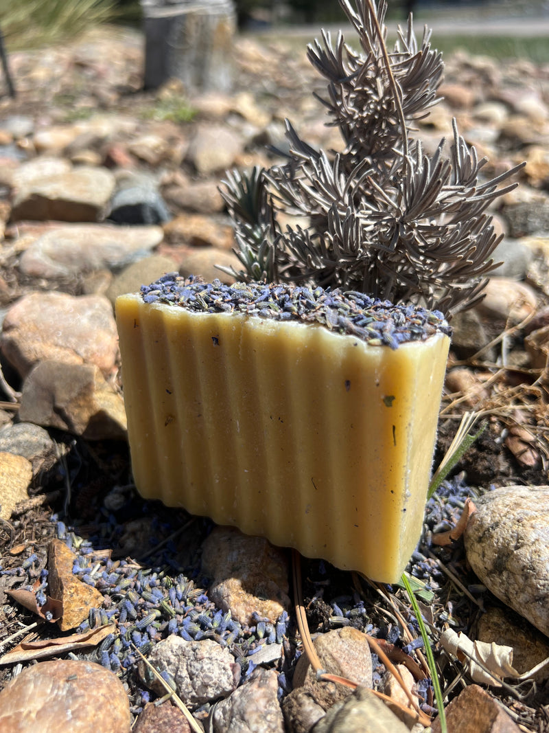 Goat & Tallow Enfused Soap