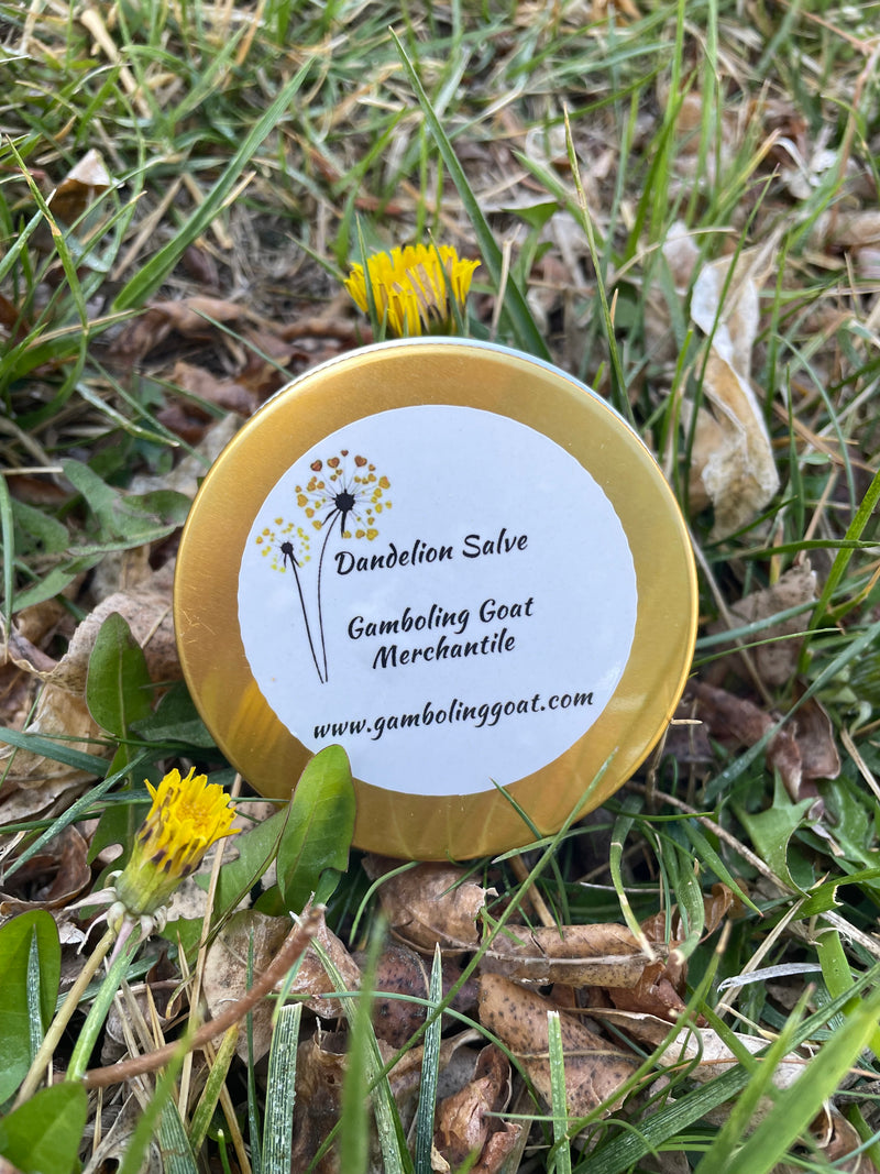 Dandelion Salve