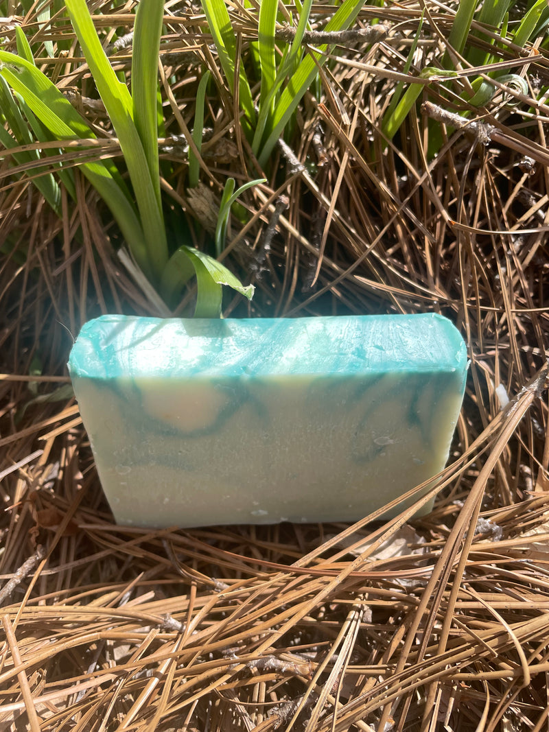 Goat & Tallow Enfused Soap